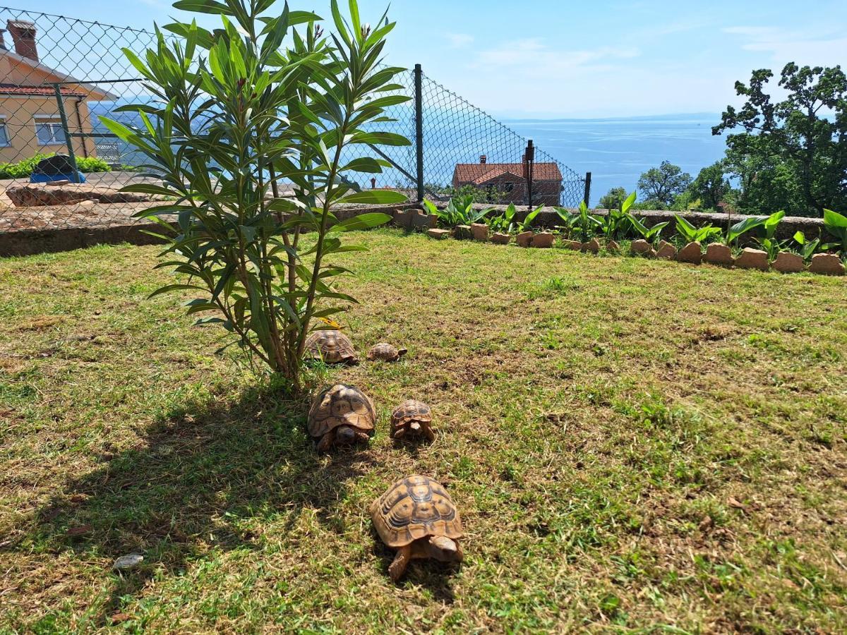 Apartmani Marini Opatija Exterior foto